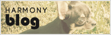 HARMONY blog